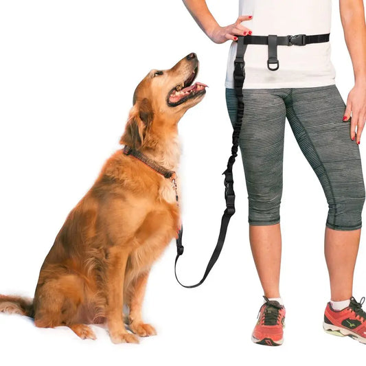 Hands Free Dog Leash Adjustable Running Training Leash For Service Dogs