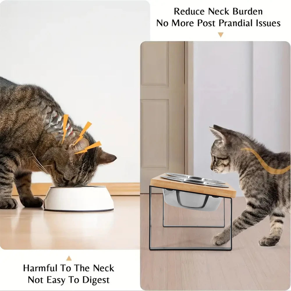 PETRAVEL Elevated Cat Bowls Tilted Raised Stand Dual Stainless Bowls