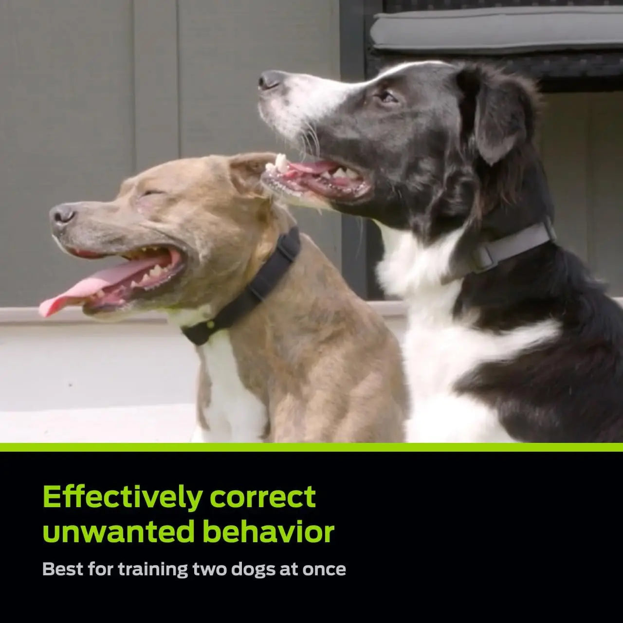 Dog Training Collar With Remote 1000ft Range Waterproof