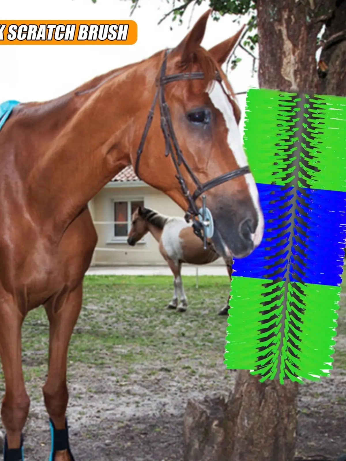 Livestock Scratching Brush Kit For Horses And Goats Heavy Duty