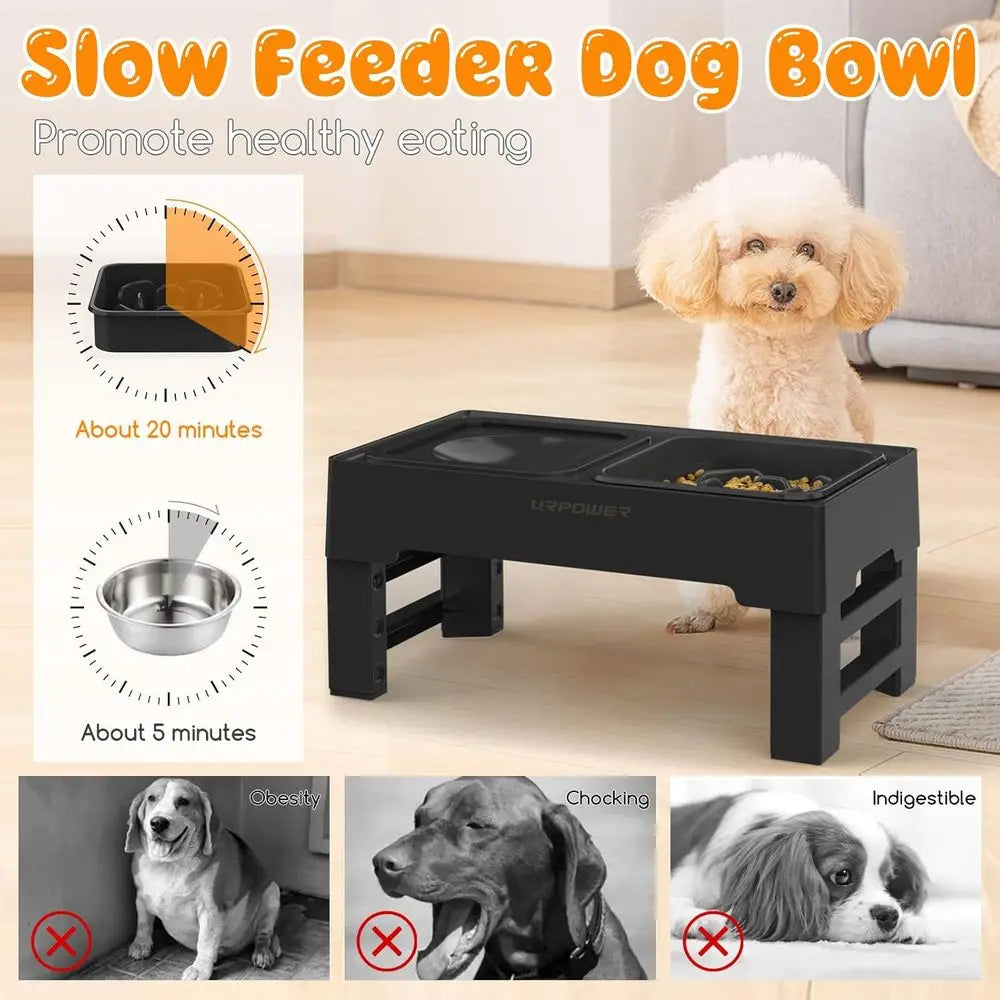 Elevated Slow Feeder Dog Bowls With No-Spill Water