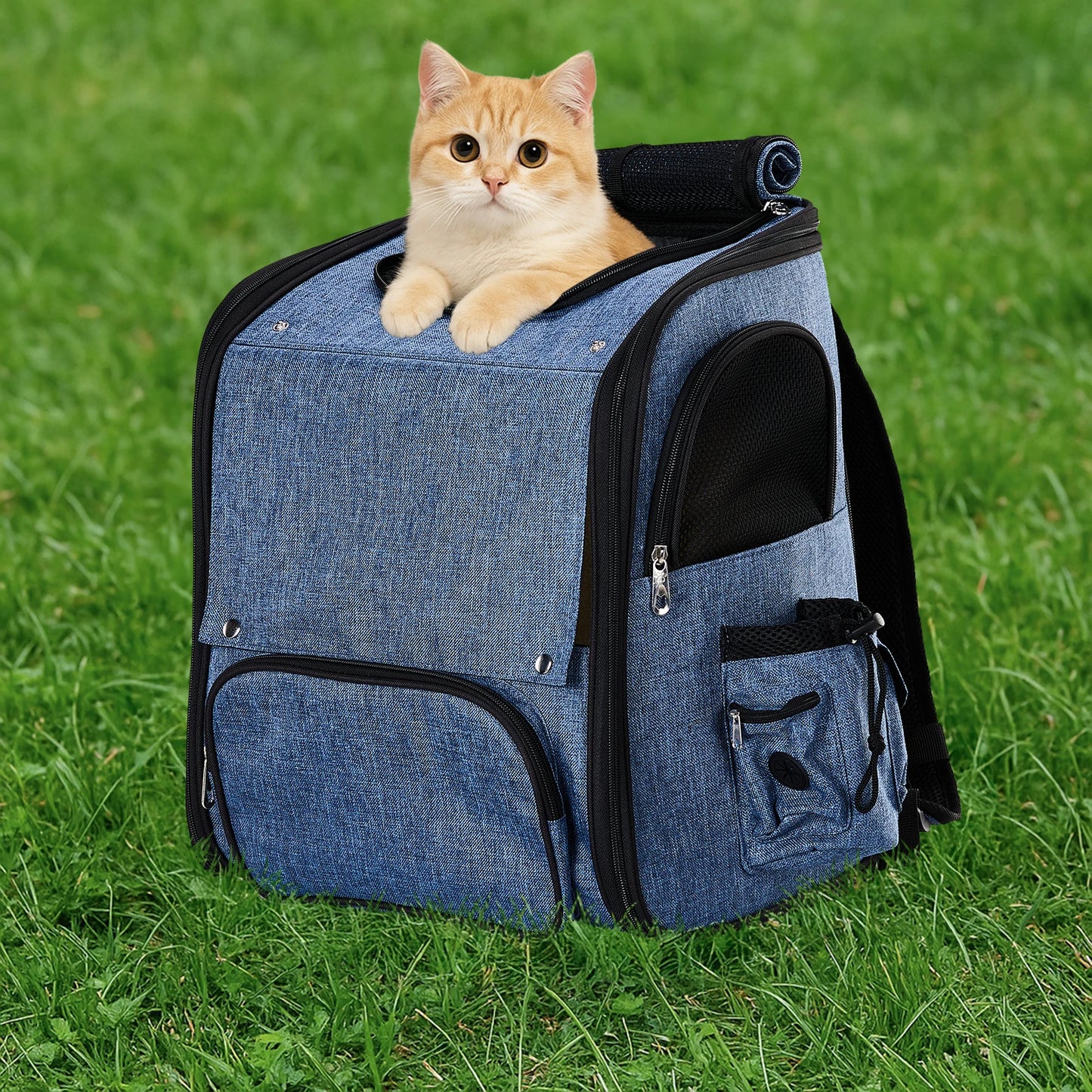 Expandable Pet Carrier Backpack for Cats and Dogs Breathable Mesh