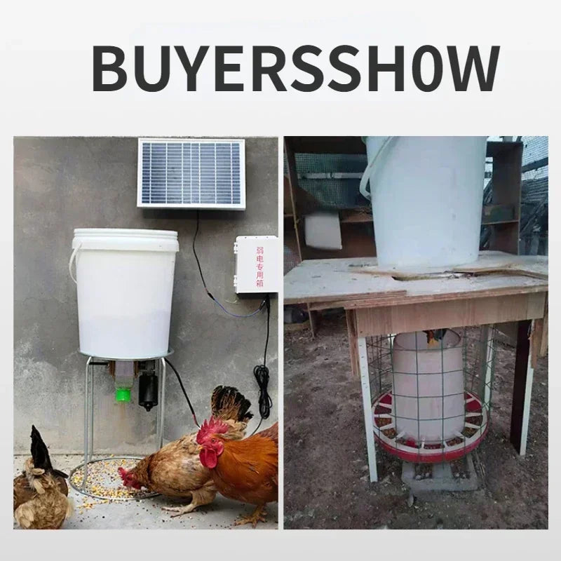 Automatic Poultry Feeder Timed Feeding For Chicken Pigeon Duck