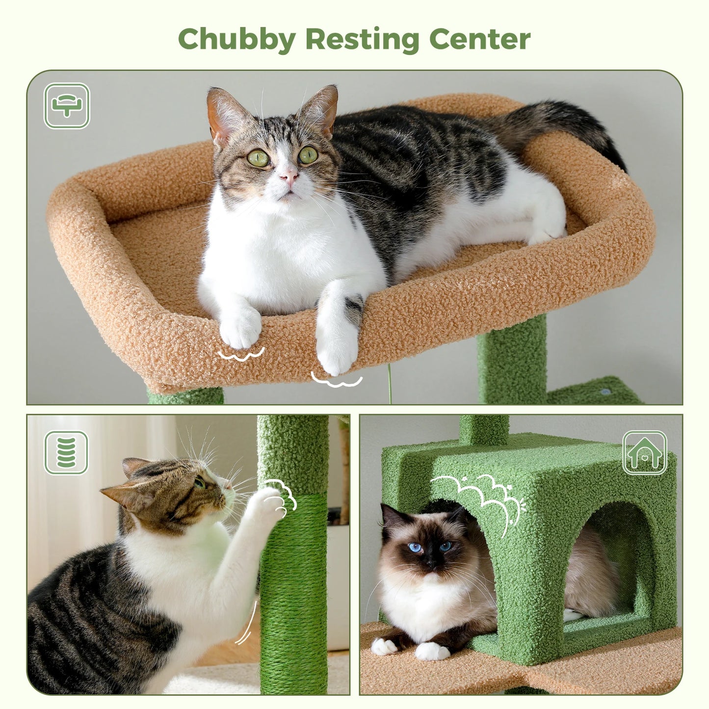 PAWZ Road Cactus Cat Tree Tower Indoor Cats Deluxe