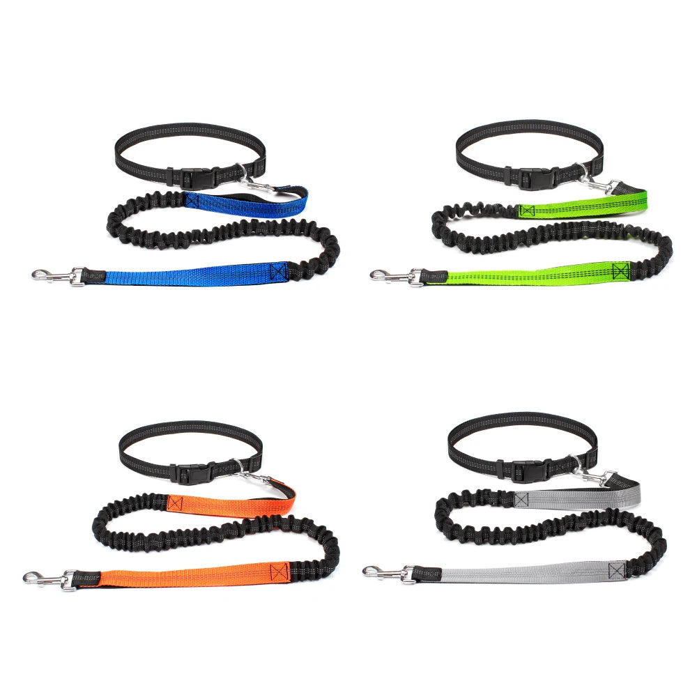 NONECN Hands Free Dog Leash Waist Belt for Walking