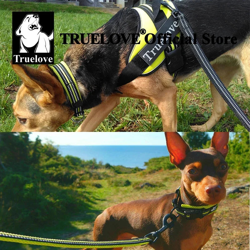 Truelove Pet Dog Collar Nylon Adjustable Padded Reflective