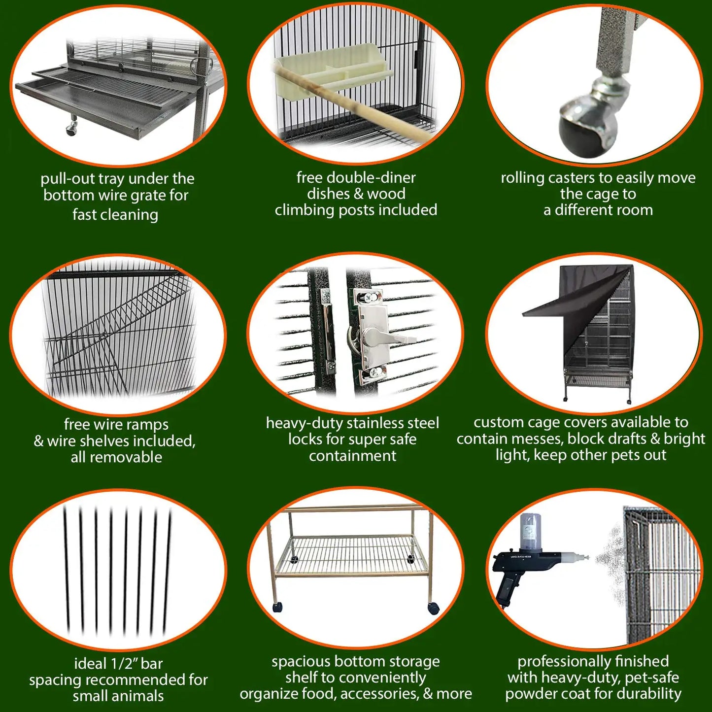 Congo Squirrel Cage Starter Kit With Durable Accessories