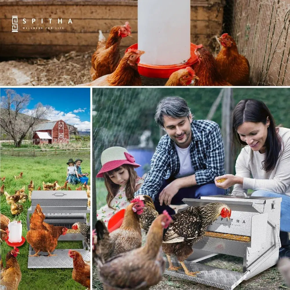 Automatic Chicken Coop Feeder No Waste Steel Poultry Feeder Weatherproof