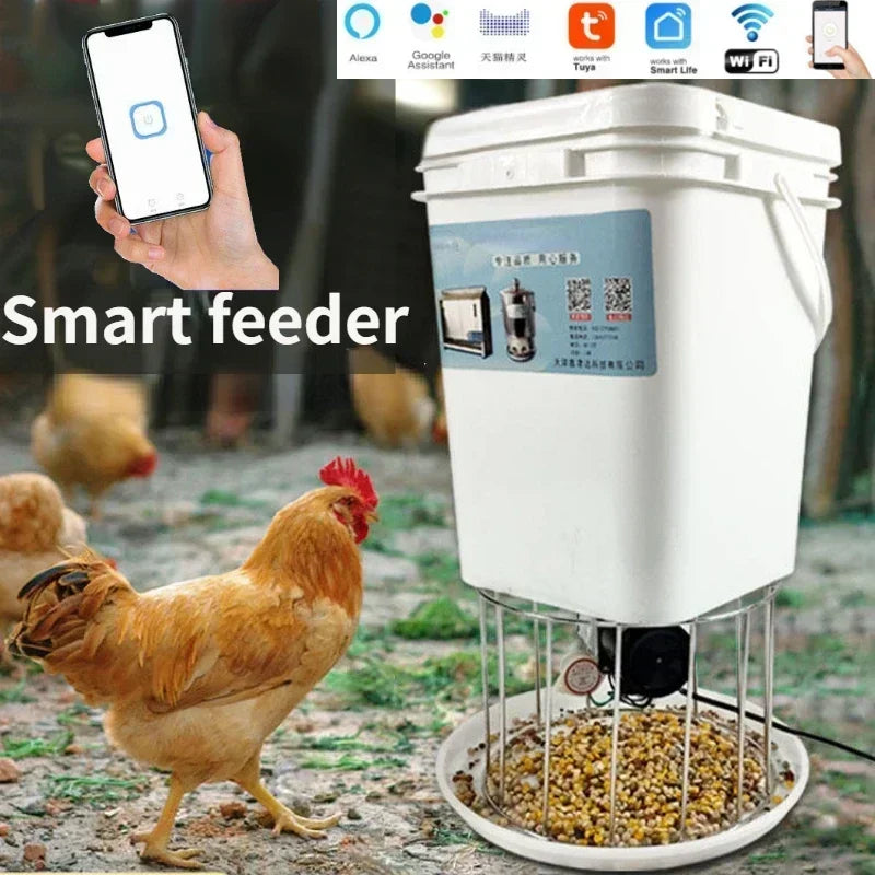 Automatic Poultry Feeder Timed Feeding For Chicken Pigeon Duck