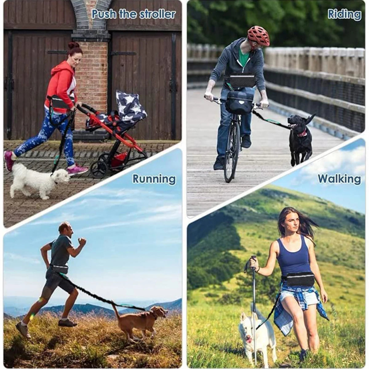 Reflective Hands Free Dog Leash With Waist Bag