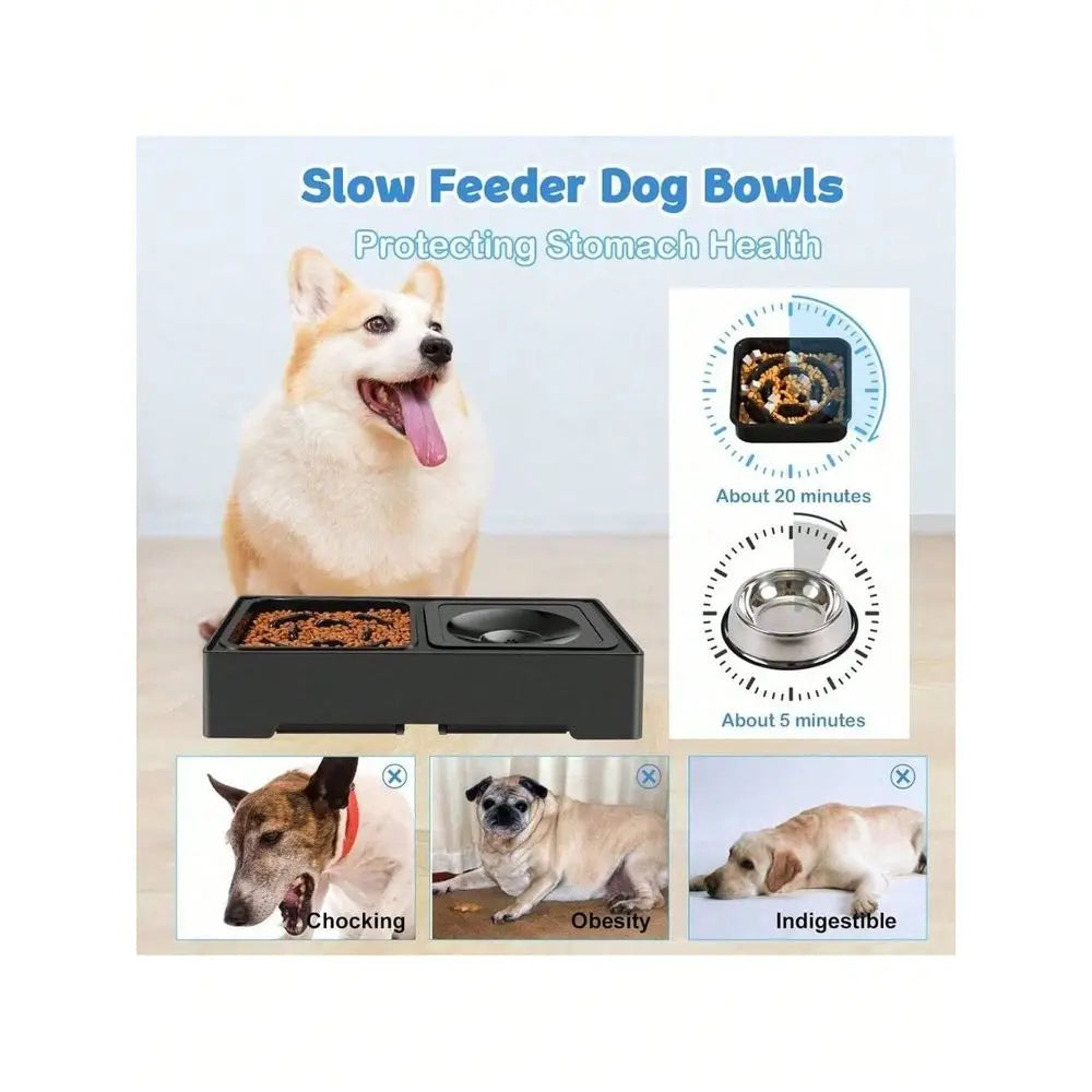 Elevated Slow Feeder Dog Bowl Stand With No Spill Water Bowl