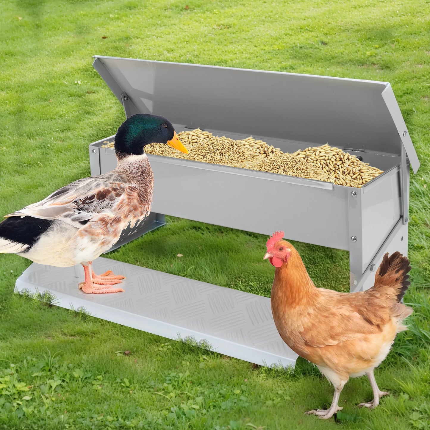 Automatic Chicken Feeder With Weatherproof Lid Treadle Stainless Steel