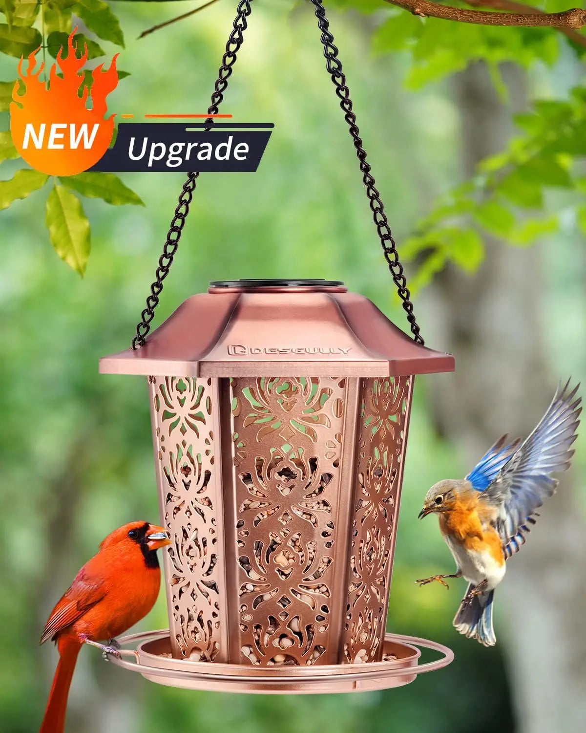 Solar Powered Metal Bird Feeder for Outdoors Weather Resistant ChewProof
