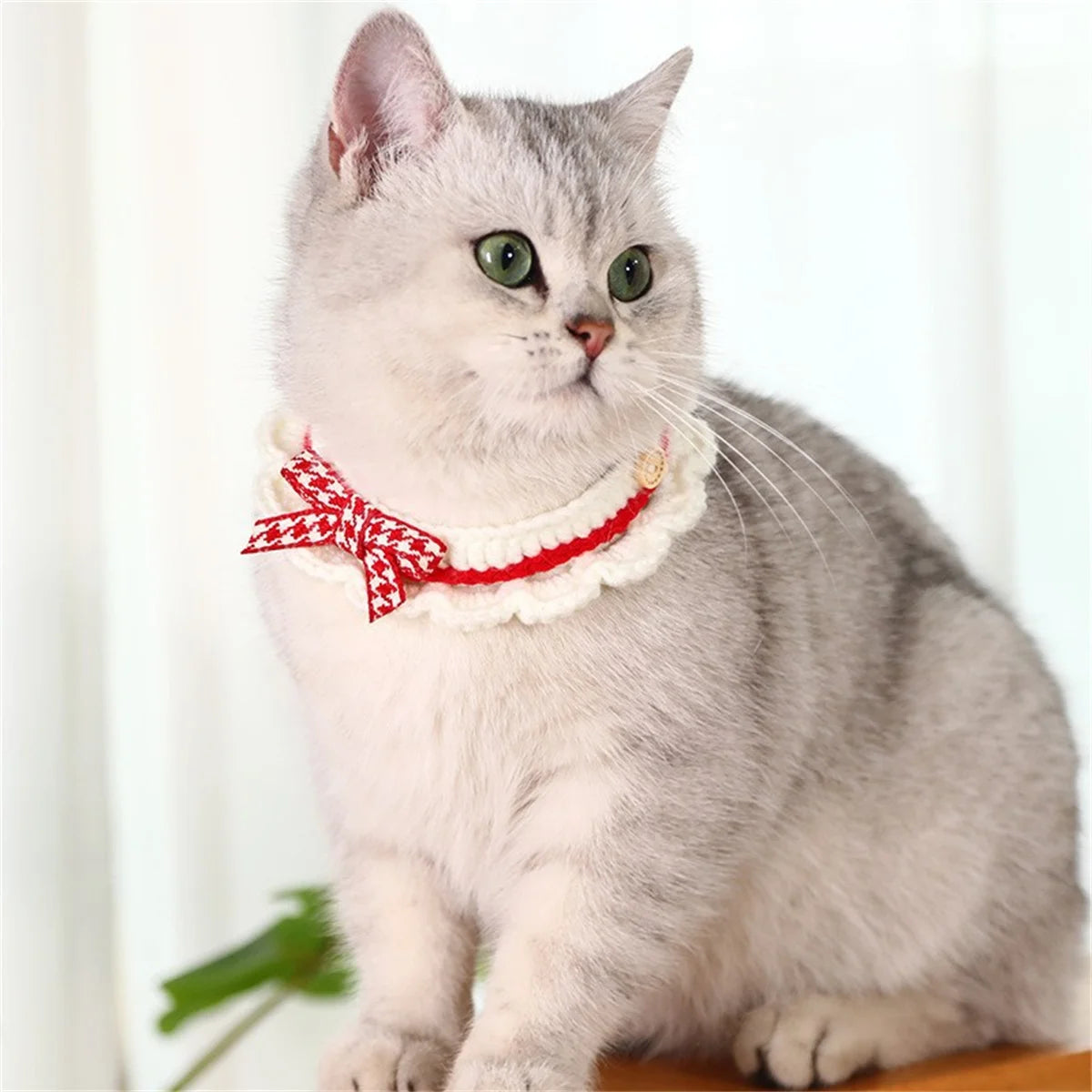 Cute Bow Knot Hand-Knitted Pet Collar Accessory for Small Pets