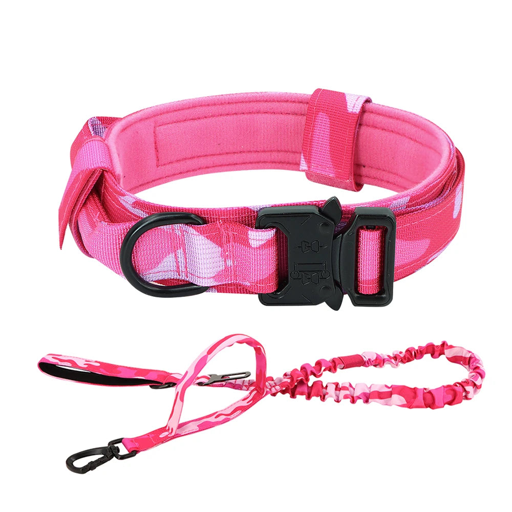 PETRAVEL Adjustable Dog Training Collar With Leash Set