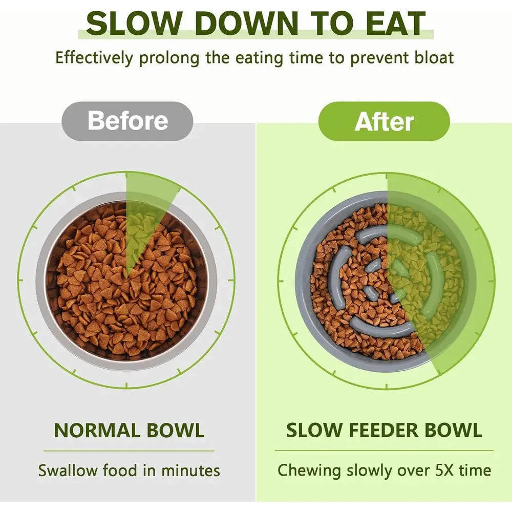 Slow Feeder Dog Bowl With Non Skid Silicone Mat Safe
