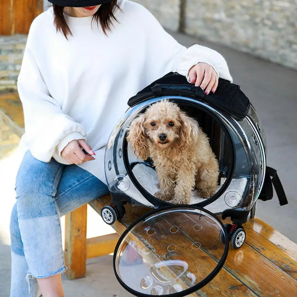 Transparent Pet Travel Carrier Trolley Case With Silent Wheels