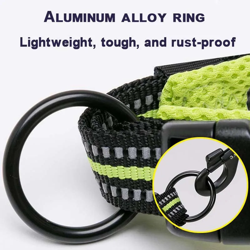 Winhyepet Padded Nylon Dog Collar With Reflective Trim And Buckle