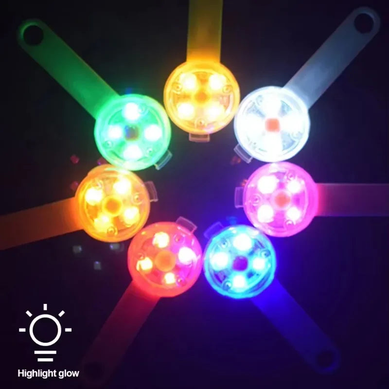 USB Rechargeable LED Dog Collar With Weatherproof Safety Light
