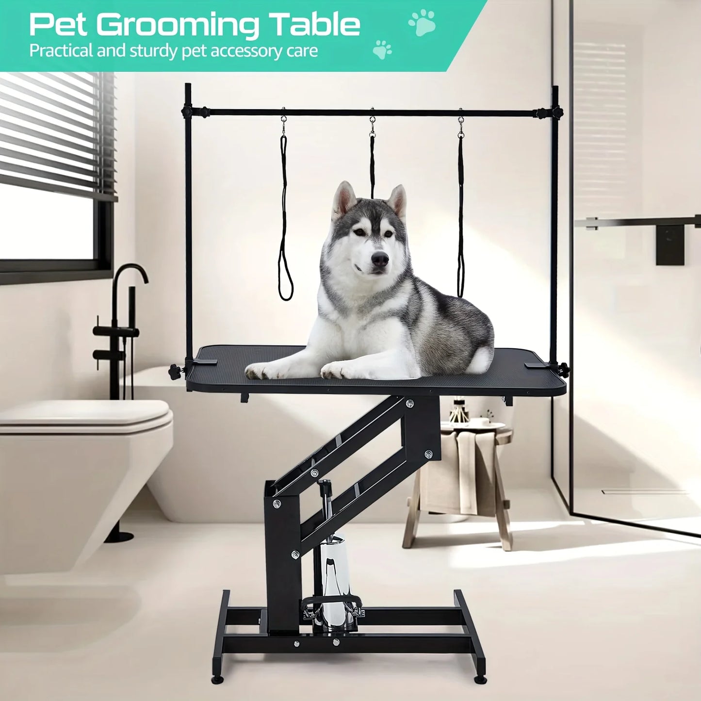 Heavy Duty Hydraulic Dog Grooming Table With Overhead Arm