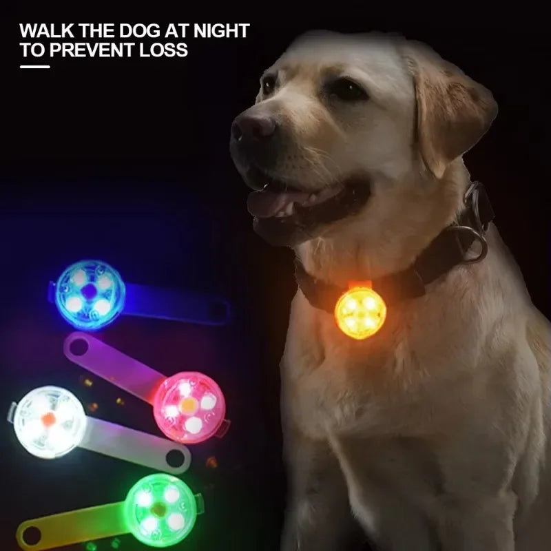 USB Rechargeable LED Dog Collar With Weatherproof Safety Light