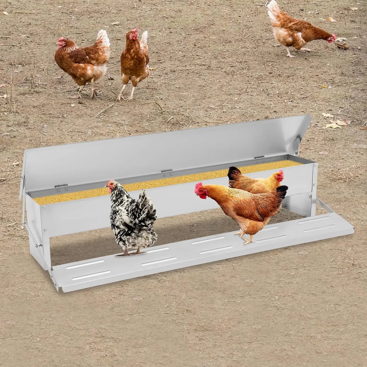 Automatic Galvanized Chicken Feeder With Weatherproof Lid Treadle