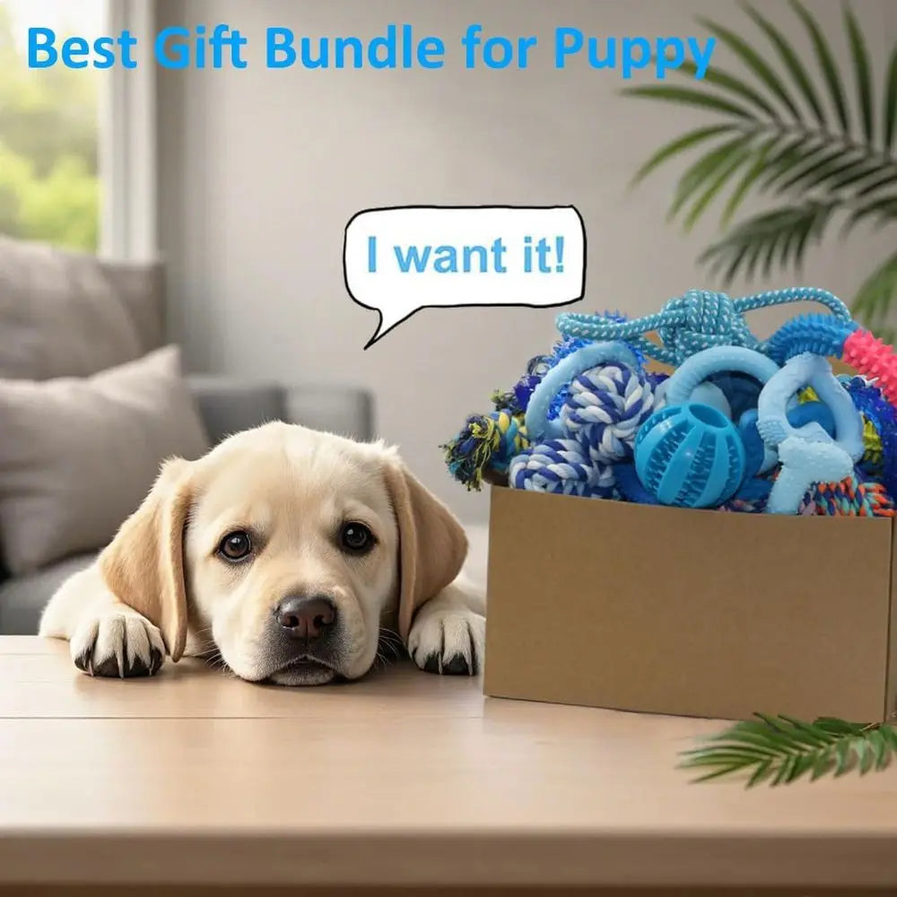 Puppy Chew Toy Bundle 20 Pack Teething Toys for Dogs