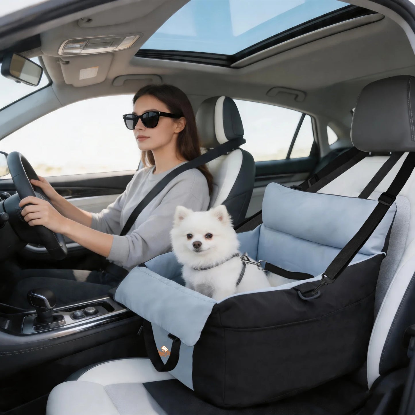 BINGOPAW Small Dog Car Seat Booster With Safety Belt