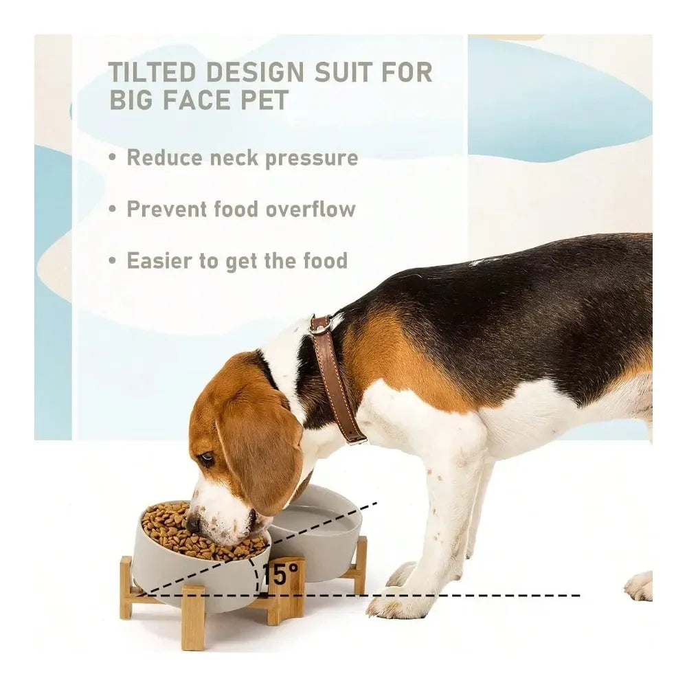 Slanted Ceramic Dog And Cat Bowl With Wooden Stand