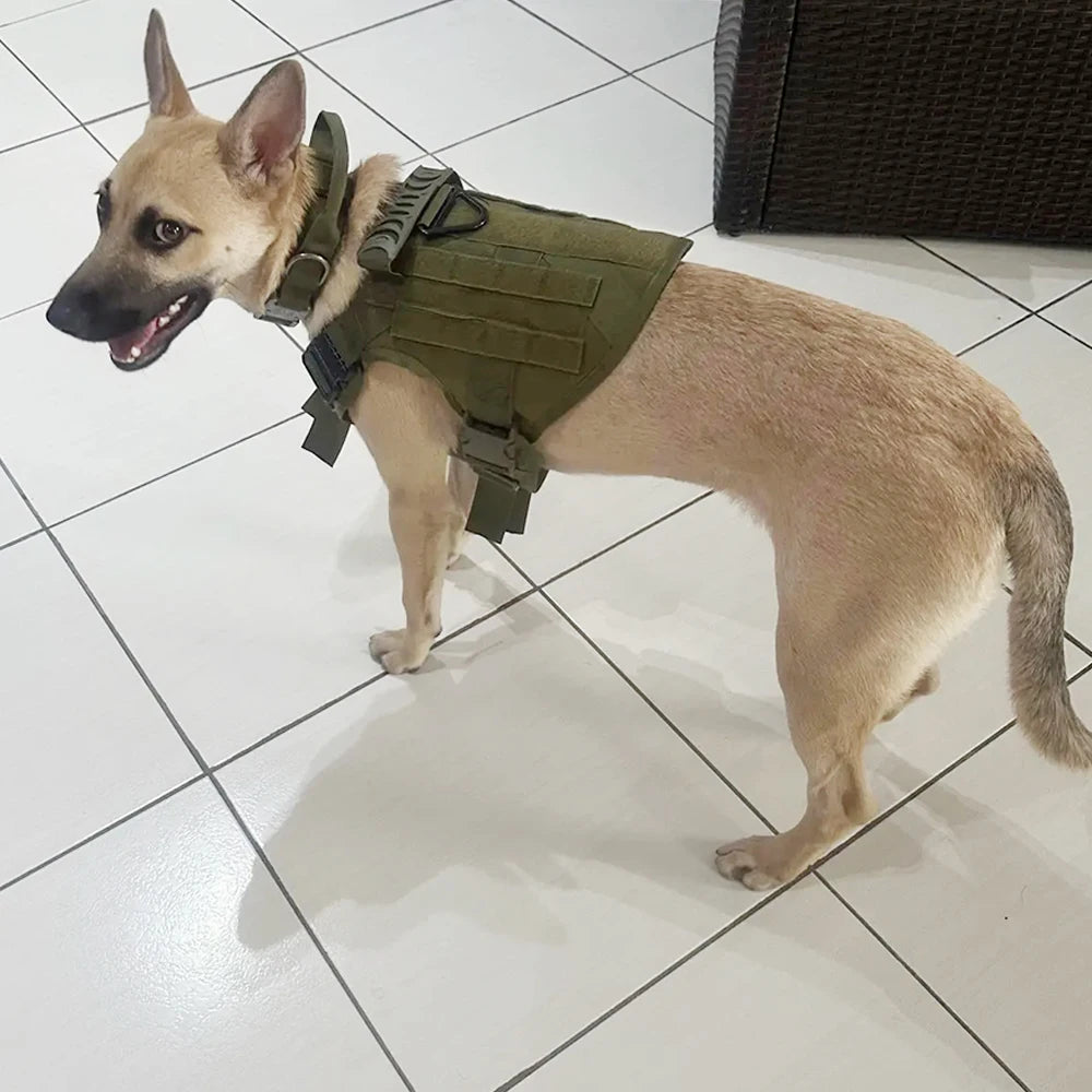Nylon Dog Harness And Collar Set, Adjustable Tactical Vest