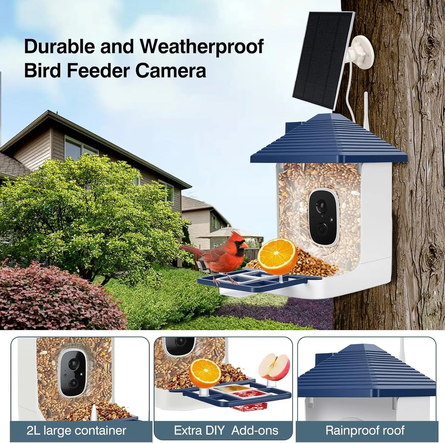 Smart Bird Feeder With Camera AI Species ID 2K Video