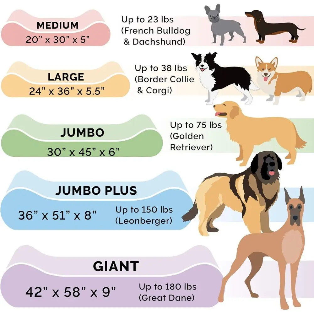 Memory Foam Dog Bed For Large Breeds With Removable Cover Supports Up To 150 Lbs