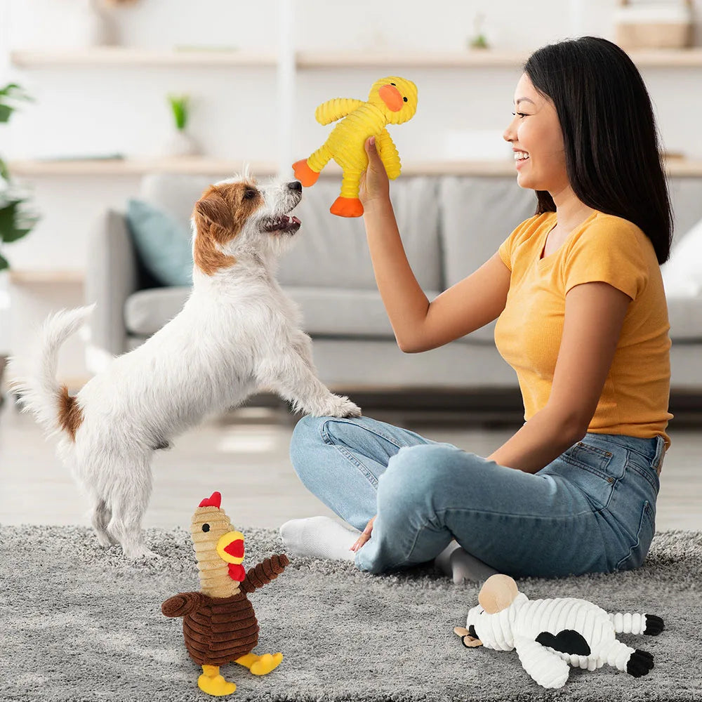 Five Pack Plush Dog Toys Squeaky Set Assorted Value Bundle For Dogs