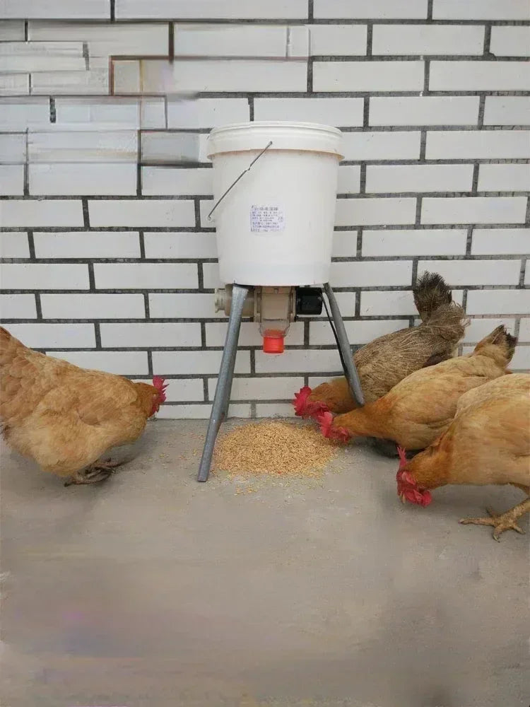 Automatic Poultry Feeder Timed Feeding For Chicken Pigeon Duck
