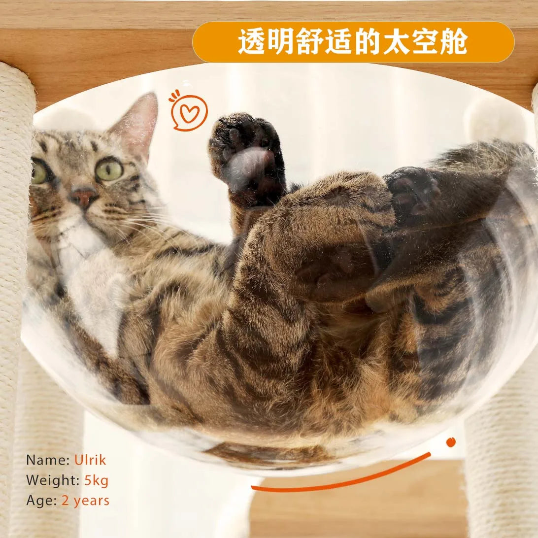 PAWZ Road Modern Cat Tree For Large Cats Wood Tower With Scratch Post