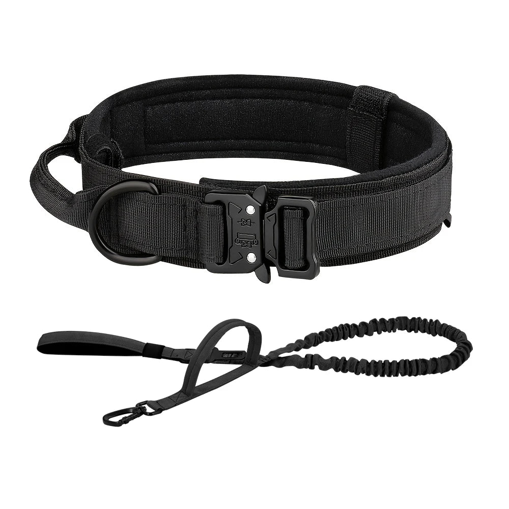 PETRAVEL Adjustable Dog Training Collar With Leash Set