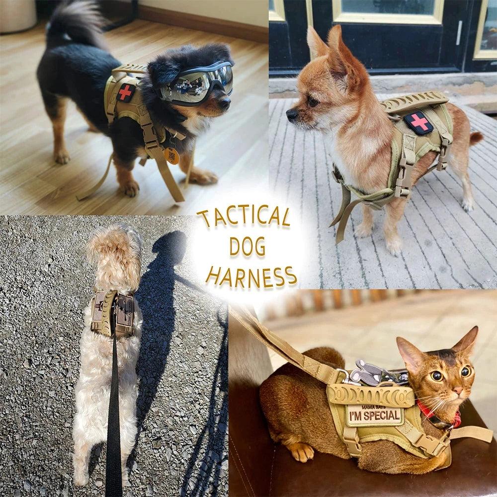 Tactical Puppy Harness Leash Set For Small Dogs And Cats