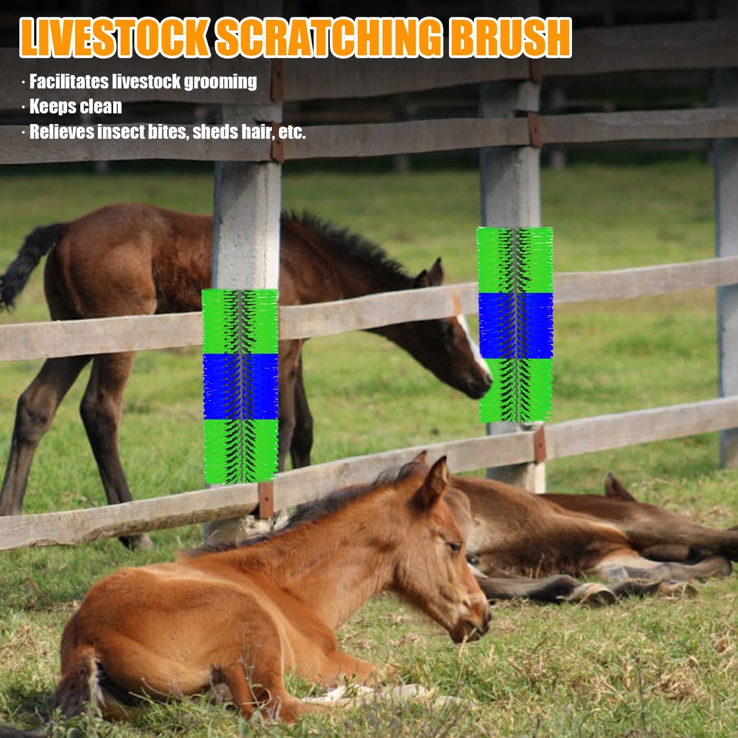 Livestock Scratching Brush Kit For Horses And Goats Heavy Duty