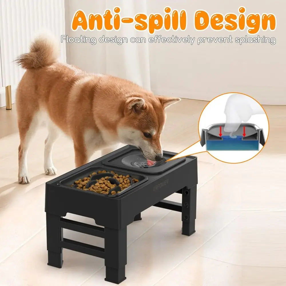 Elevated Slow Feeder Dog Bowls With No-Spill Water