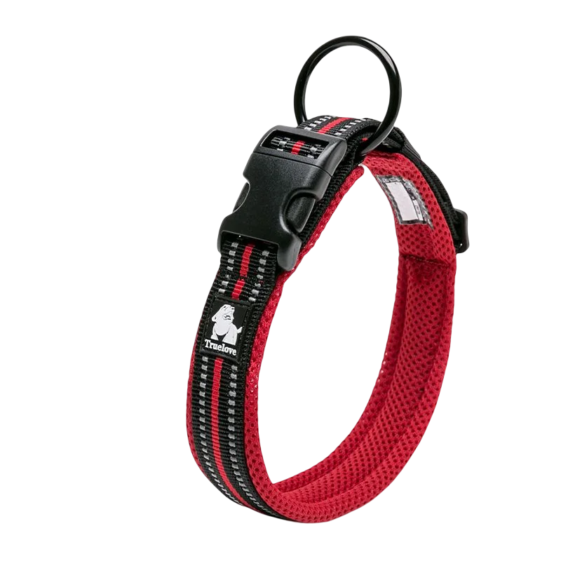 Winhyepet Padded Nylon Dog Collar With Reflective Trim And Buckle
