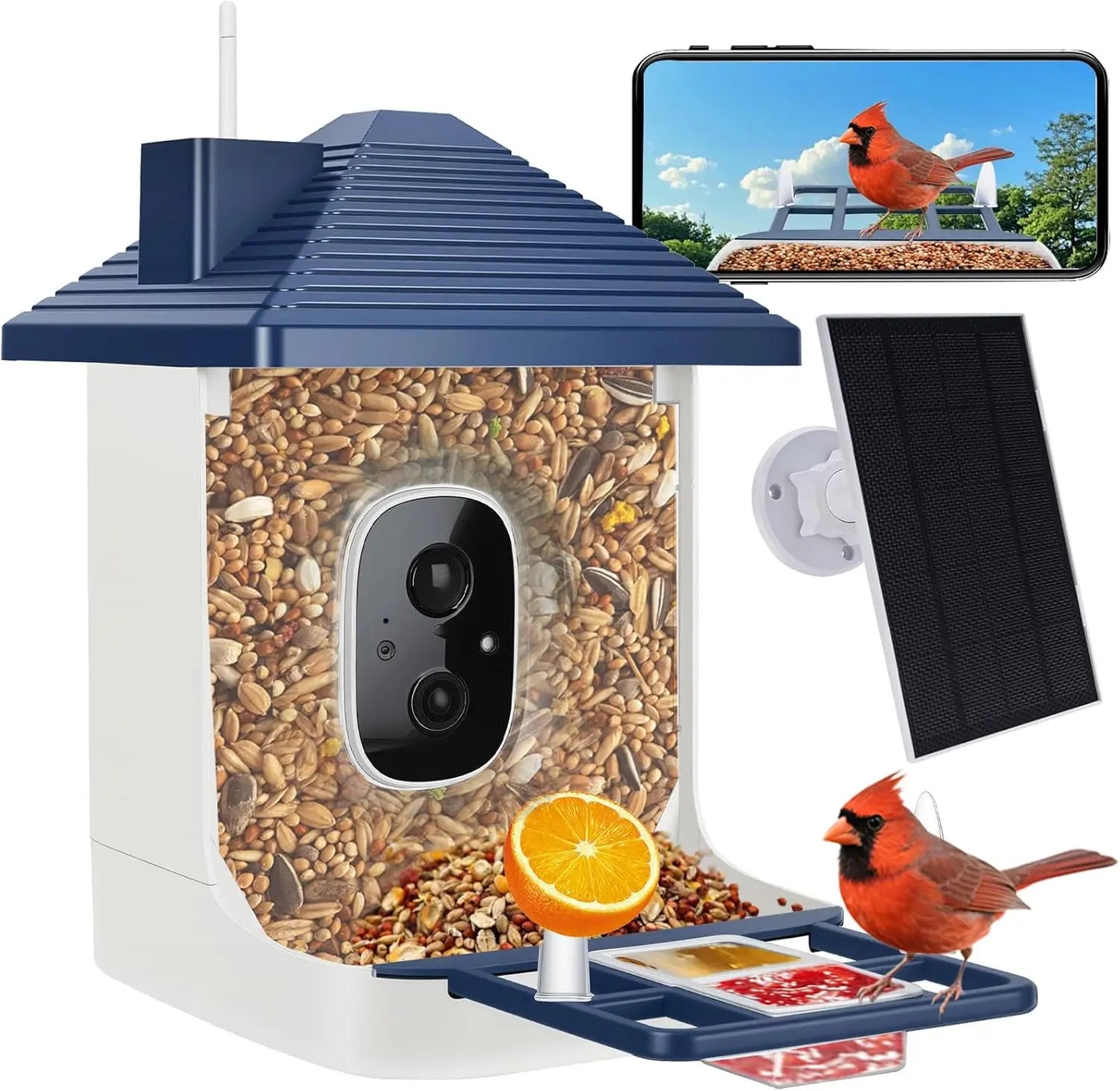 Smart Bird Feeder With Camera AI Species ID 2K Video