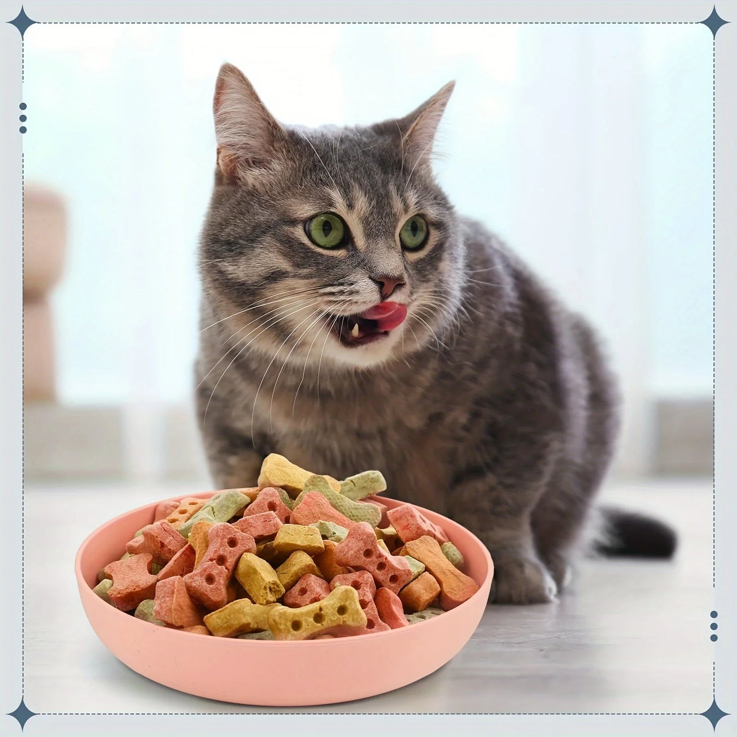 Cat Bowls Set Non-Slip Plastic Pet Food And Water Dishes