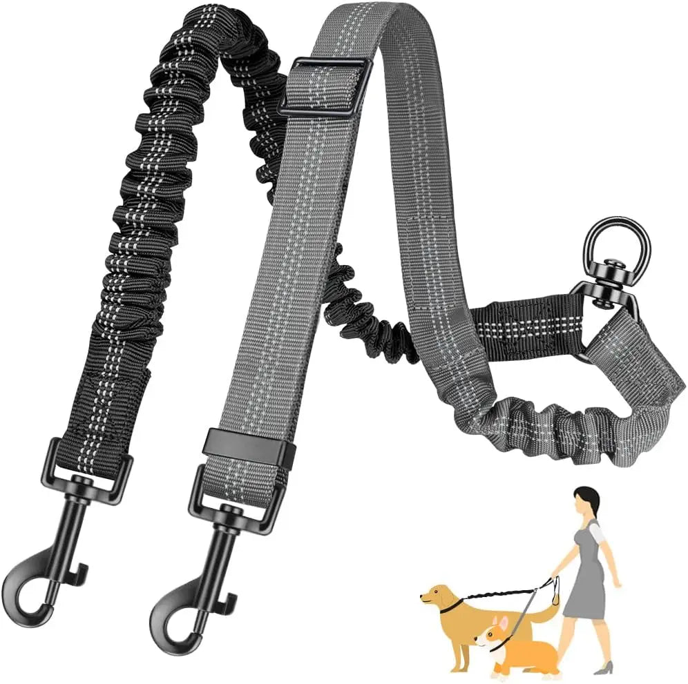 Dual Dog Leash Attachment With Adjustable Shock Absorbing Bungee