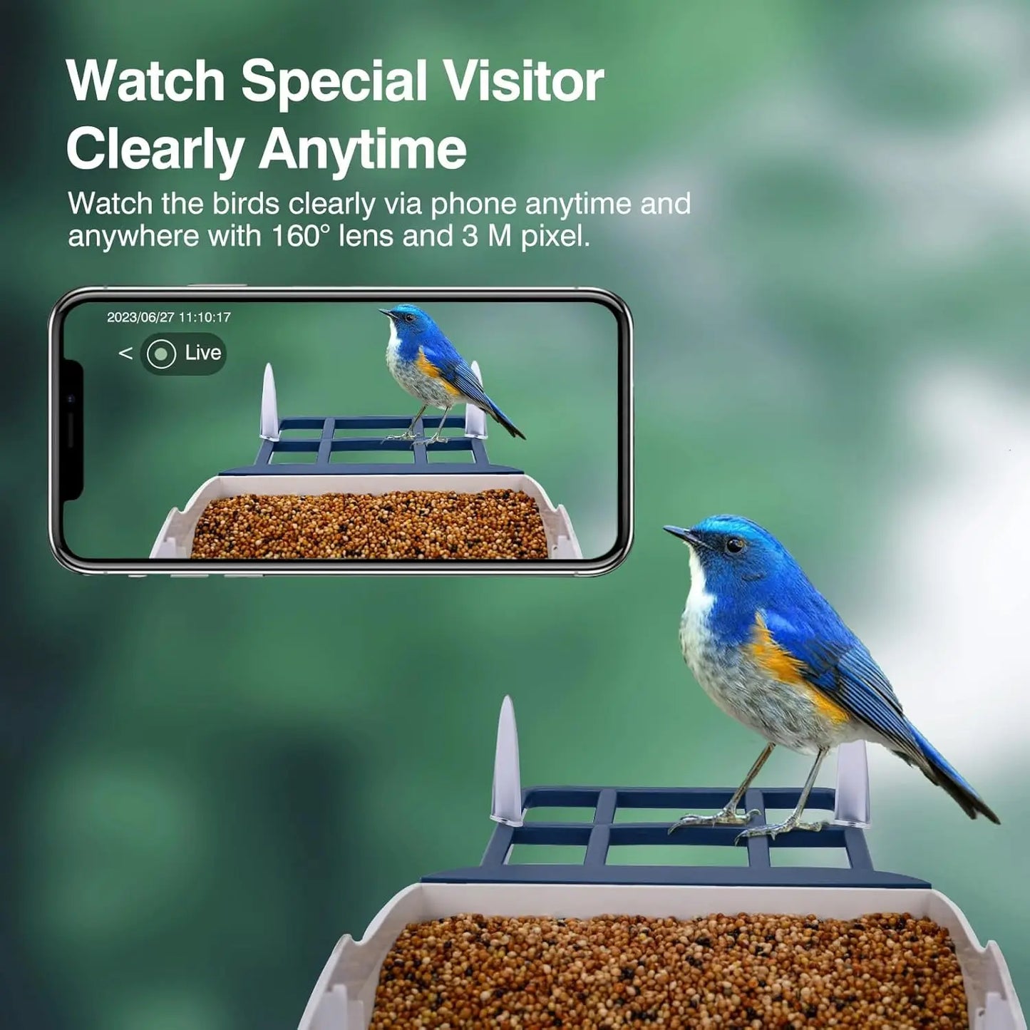 Smart Bird Feeder With Camera AI Species ID 2K Video