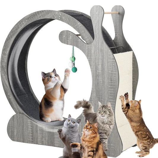 HiMISS Cat Exercise Wheel Indoor Treadmill For Fitness