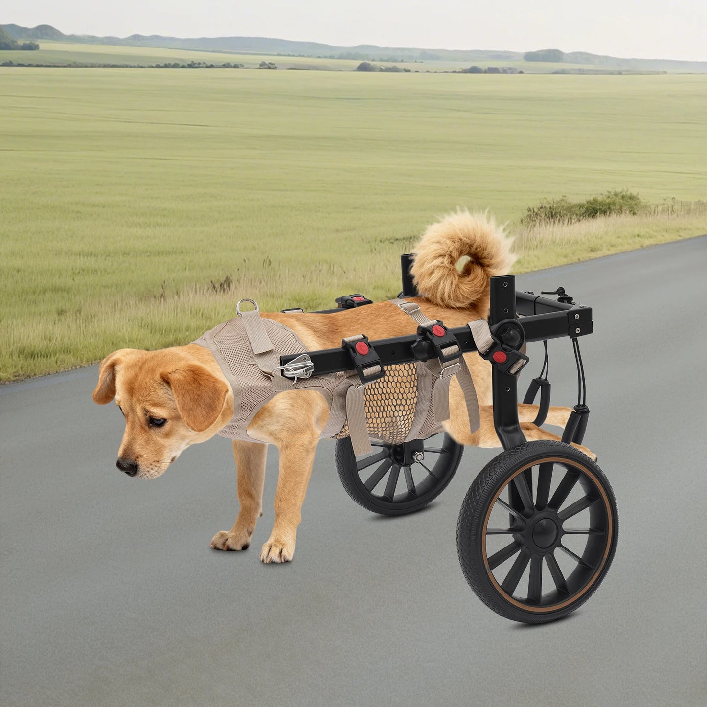 Dog Walking Aid Adjustable Wheelchair For Hind Leg Support
