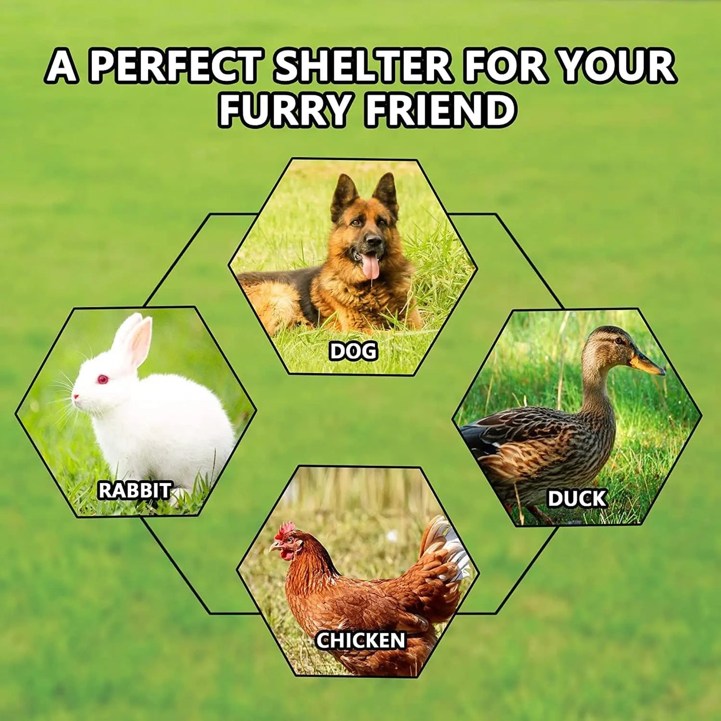 Galvanized Outdoor Dog Kennel With Roof Lock UV Resistant Cover