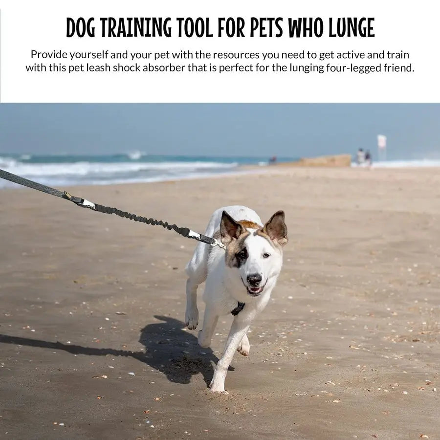 Hands Free Dog Leash Adjustable Running Training Leash For Service Dogs