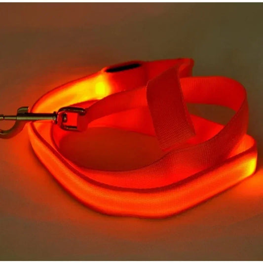 Flashing LED Dog Leash And Harness With Glowing Safety Light