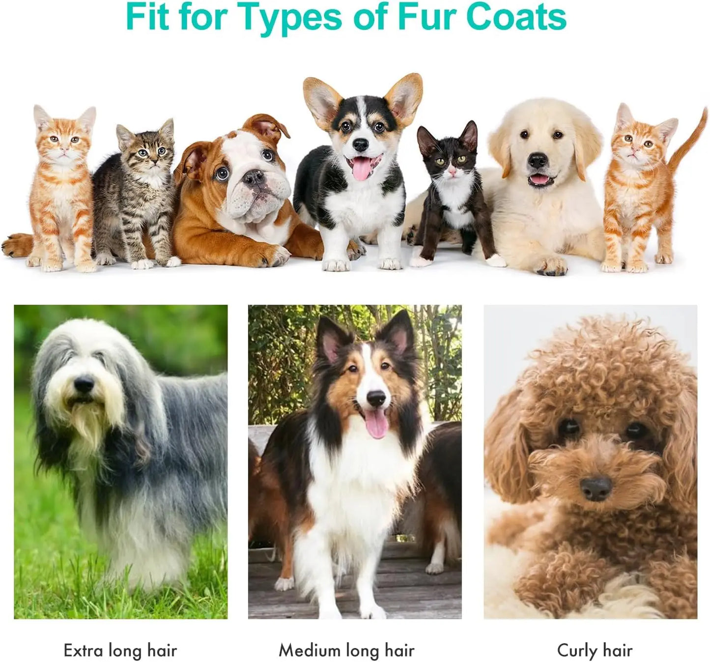 Professional Pet Grooming Kit With Vacuum Suction, Low Noise Design